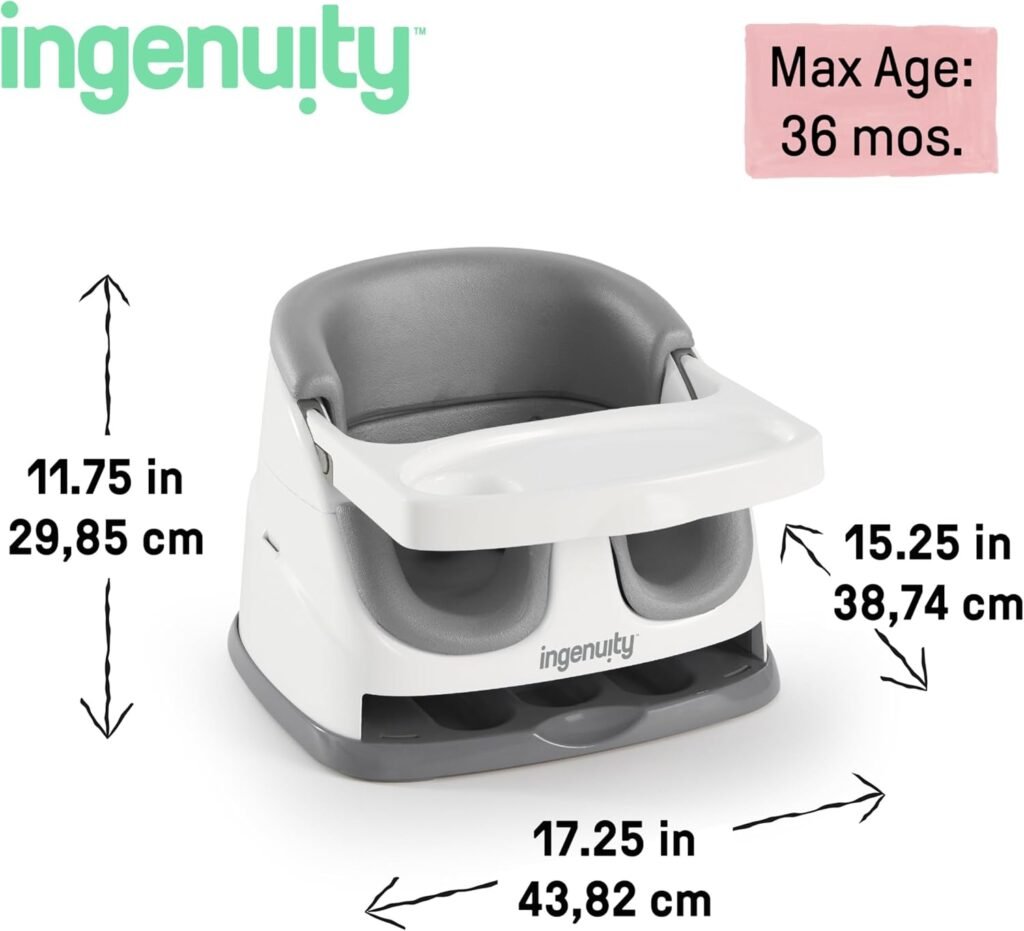 Ingenuity Baby Base 2-in-1 booster and floor seat, slate, with tray